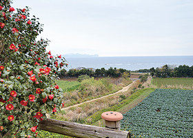 福江島