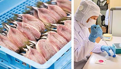 原料から凍結まで一貫生産(左)、万全の品質管理体制(右)