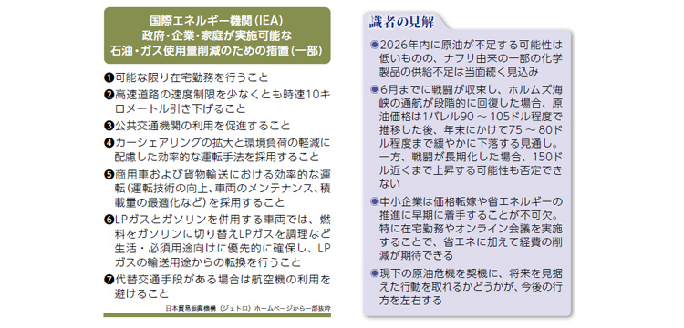 国際エネルギー機関(IEA)政府・企業・家庭が実施可能な石油・ガス使用量削減のための措置(一部)、識者の見解