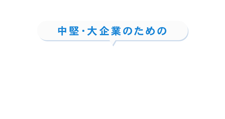 中堅・大企業のためのインボイス制度対応セミナー