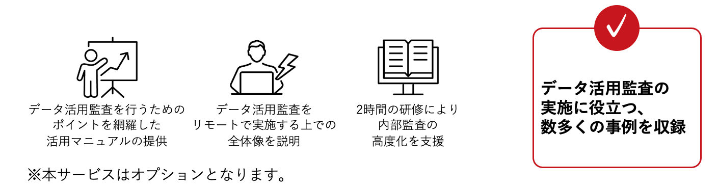 内部監査支援機能活用マニュアル研修サービスの内容