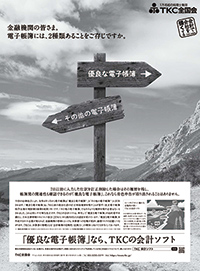 Nihon Keizai Shimbun