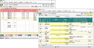 会計日記帳形式、出納帳形式