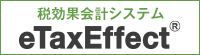 税効果会計システム（eTaxEffect）